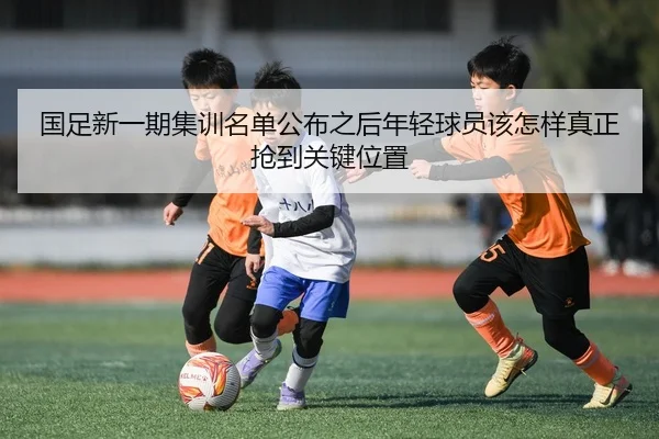 img_1781105368984_36_2_584.jpg